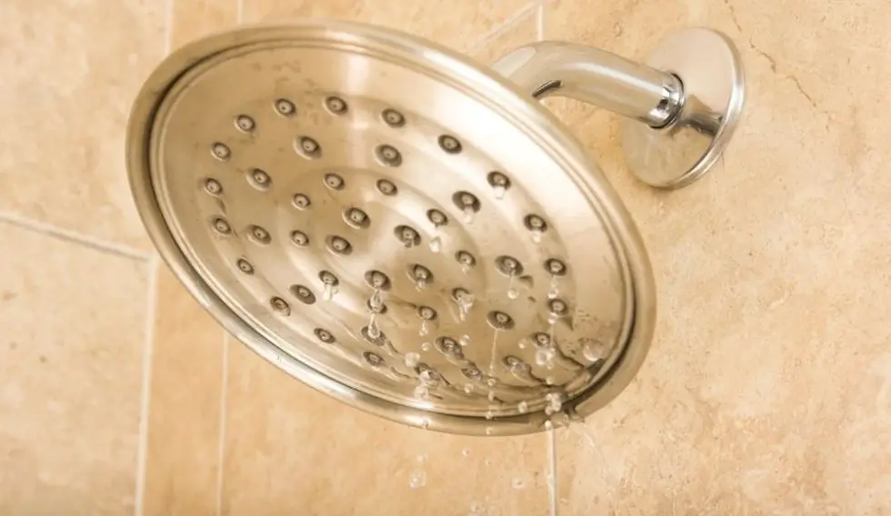 Best Shower Head For Low Water Pressure Shower Maestro