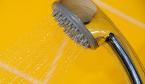Best waterfall shower head_Shower Maestro