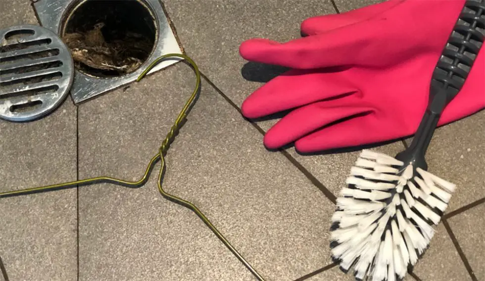 How To Get Rid Of Drain Worms Shower Maestro