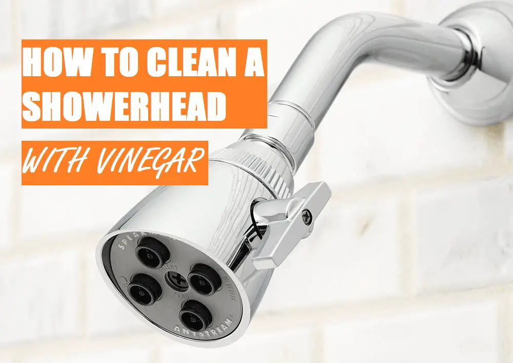 How to Clean a Shower Head with Vinegar 4 Simple Steps Shower Maestro