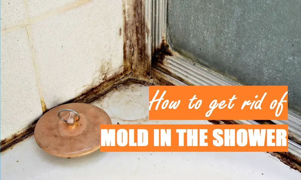 How to Get Rid of Mold in the Shower: 3 Quick Steps - Shower Maestro - How To Get Rid Of Mold In The Shower