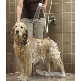 pet shower